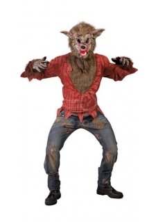 item1